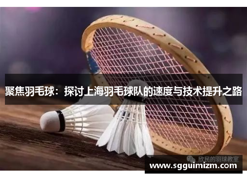 聚焦羽毛球：探讨上海羽毛球队的速度与技术提升之路